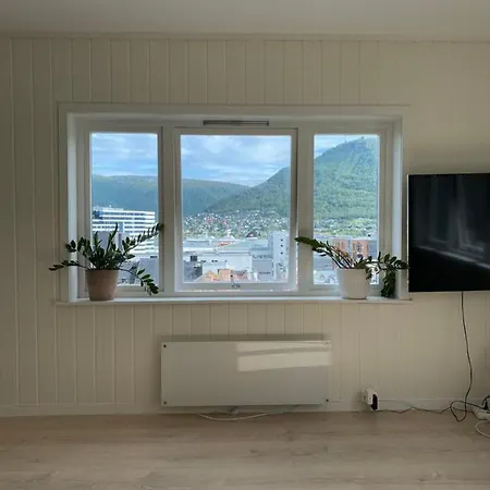 Bramy The Cozy View 公寓 特罗姆瑟
